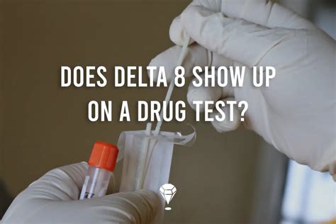 Does Delta 8 Show Up on Drug Tests Reddit: Exploring the Unpredictable World of Cannabinoid Detection