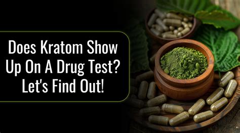 Will Kratom Show Up on a Drug Test: Exploring the Unpredictable Dance of Alkaloids and Detection